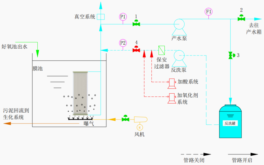 1664329392168304.jpg 115.jpg