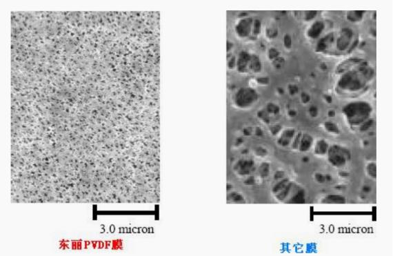 1666060422126135.jpg 1012.jpg