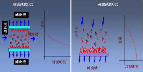 1667181092159997.jpg 2.jpg