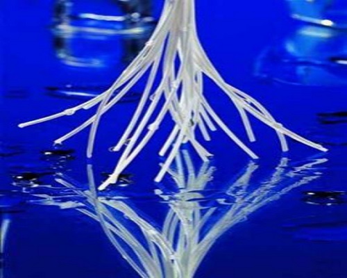 超濾膜絕對過濾精度多高？